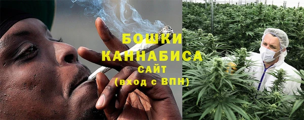 сатива Михайловка