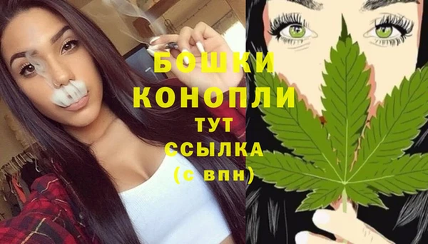 сатива Михайловка