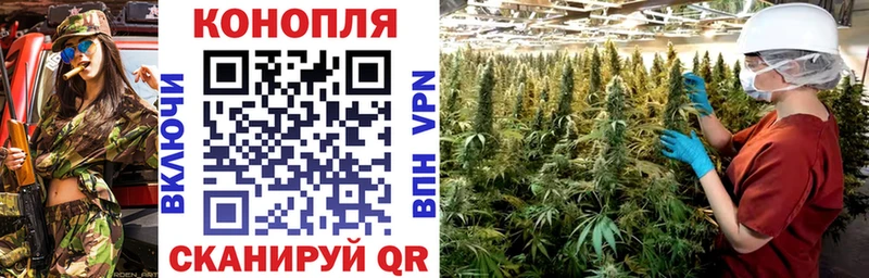 Купить  Апшеронск  Бошки Шишки индика 